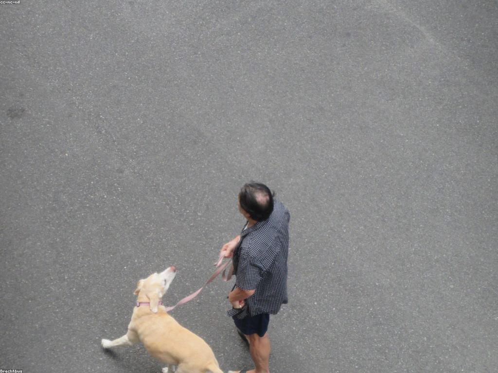 ព័ត៌មានអំពីហ្គេមថ្មី: តើអ្វីដែលអ្នកគួរប្រញាប់ឲ្យដឹង?