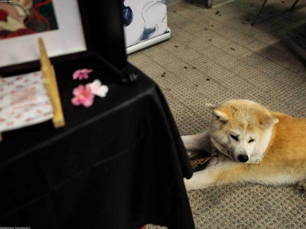 ព័ត៌មានអំពីហ្គេមថ្មី: គន្លឹះសម្រាប់អ្នកលេង